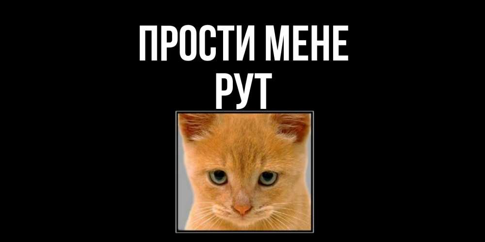 Открытка на каждый день з підписом, Рут Прости мене рыжий грустный кот просит прощения Прикольна листівка з побажанням онлайн скачати безкоштовно 