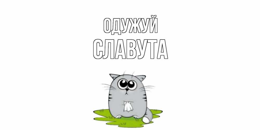 Открытка на каждый день з підписом, Славута Одужуй кот и открытки про выздоровление Прикольна листівка з побажанням онлайн скачати безкоштовно 