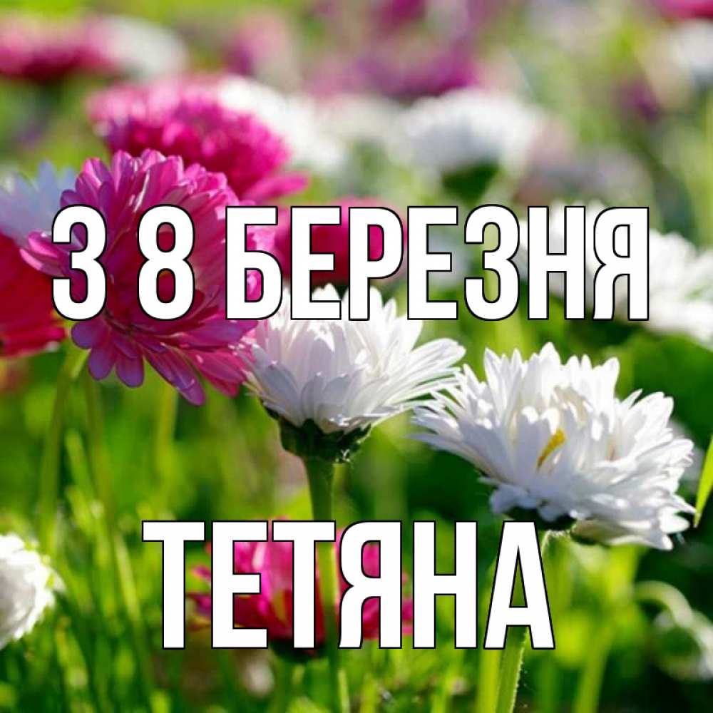 Открытка на каждый день з підписом, Тетяна З 8 БЕРЕЗНЯ международный женский день 1 Прикольна листівка з побажанням онлайн скачати безкоштовно 