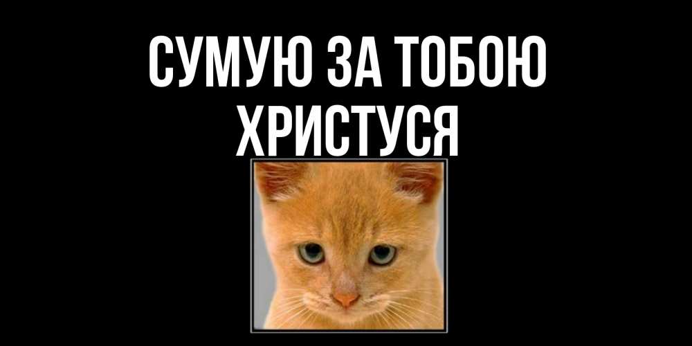 Открытка на каждый день з підписом, Христуся Сумую за тобою открытки рыжий котенок скучает по тебе Прикольна листівка з побажанням онлайн скачати безкоштовно 