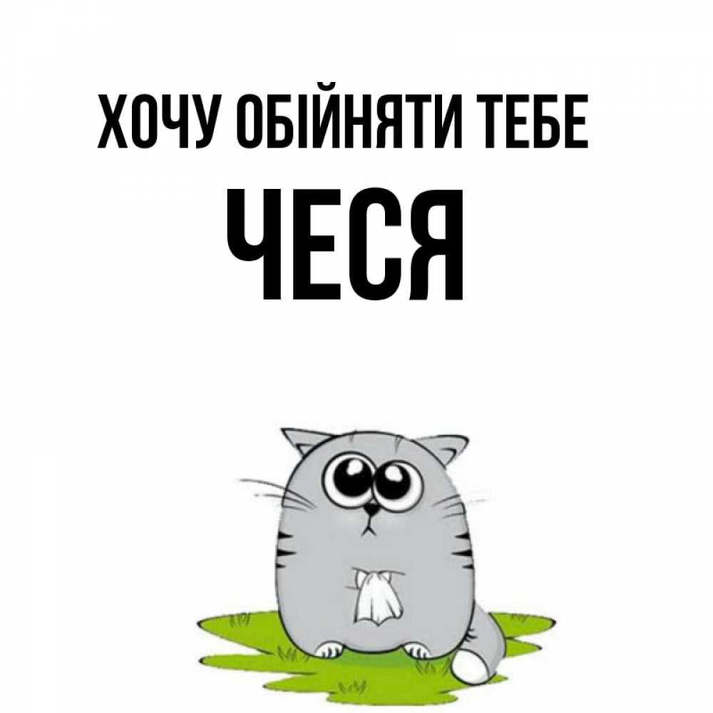 Открытка на каждый день з підписом, Чеся Хочу обійняти тебе котик теребит платочек сидя на травке Прикольна листівка з побажанням онлайн скачати безкоштовно 
