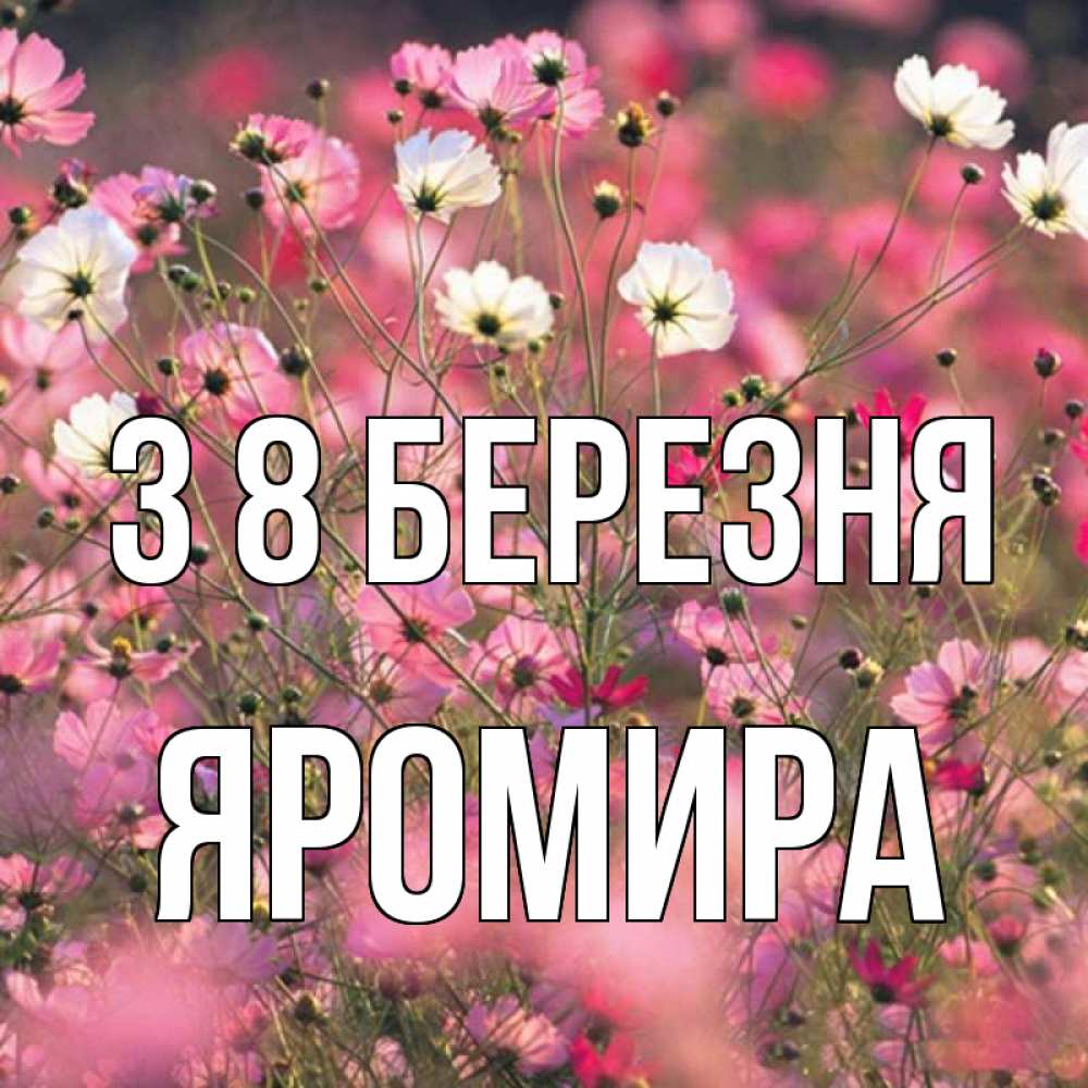 Открытка на каждый день з підписом, Яромира З 8 БЕРЕЗНЯ красиво 1 Прикольна листівка з побажанням онлайн скачати безкоштовно 