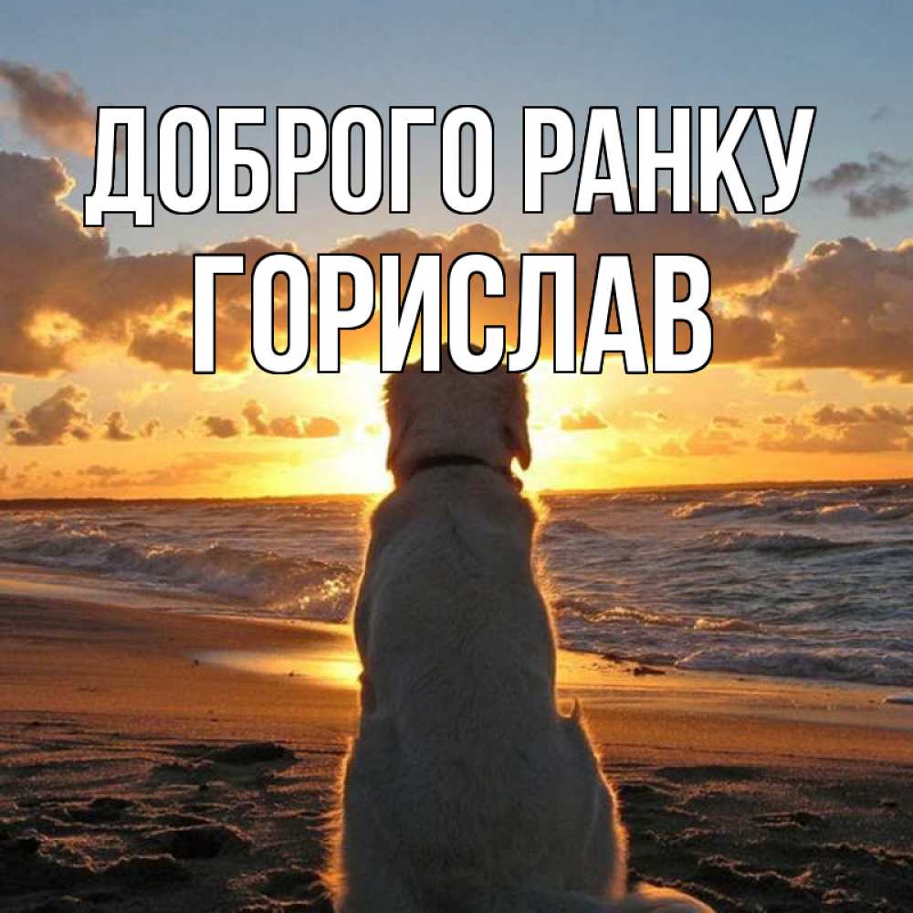 Открытка на каждый день з підписом, Горислав Доброго ранку восход солнца Прикольна листівка з побажанням онлайн скачати безкоштовно 