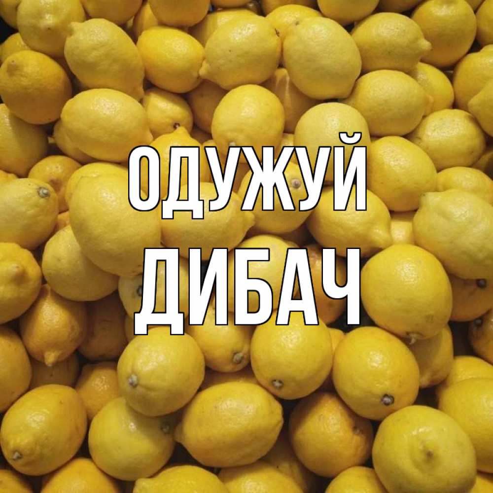 Открытка на каждый день з підписом, Дибач Одужуй это точно поможет Прикольна листівка з побажанням онлайн скачати безкоштовно 
