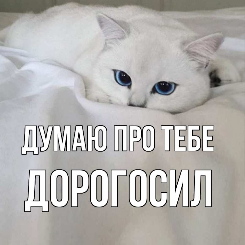 Открытка на каждый день з підписом, Дорогосил Думаю про тебе я очень по тебе скучаю и тоскую Прикольна листівка з побажанням онлайн скачати безкоштовно 