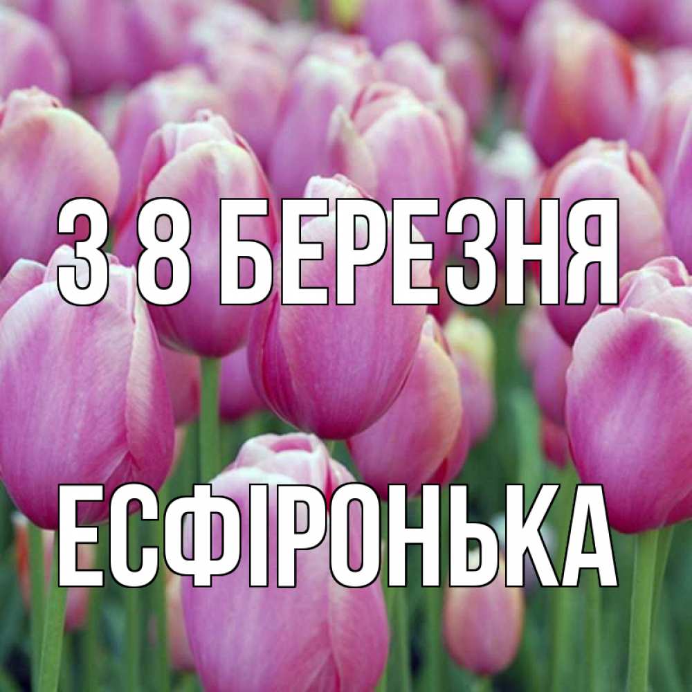 Открытка на каждый день з підписом, Есфіронька З 8 БЕРЕЗНЯ на международный женский день 3 Прикольна листівка з побажанням онлайн скачати безкоштовно 