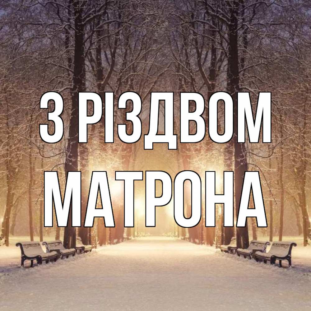 Открытка на каждый день з підписом, Матрона З Різдвом зима, парк, фонарь, лес Прикольна листівка з побажанням онлайн скачати безкоштовно 