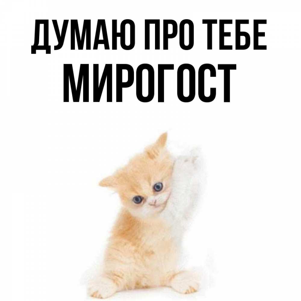 Открытка на каждый день з підписом, Мирогост Думаю про тебе зверушки и милота Прикольна листівка з побажанням онлайн скачати безкоштовно 