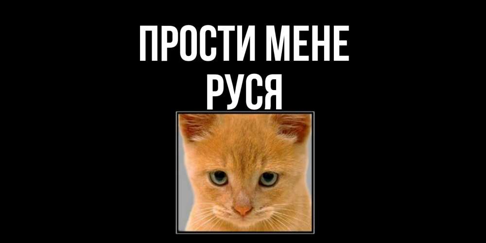 Открытка на каждый день з підписом, Руся Прости мене рыжий грустный кот просит прощения Прикольна листівка з побажанням онлайн скачати безкоштовно 