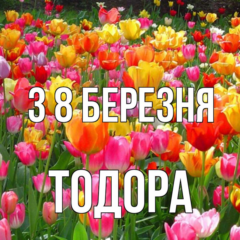 Открытка на каждый день з підписом, Тодора З 8 БЕРЕЗНЯ на международный женский день Прикольна листівка з побажанням онлайн скачати безкоштовно 