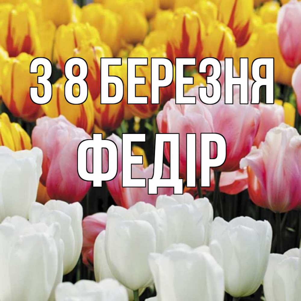 Открытка на каждый день з підписом, Федір З 8 БЕРЕЗНЯ разноцветные цветы Прикольна листівка з побажанням онлайн скачати безкоштовно 