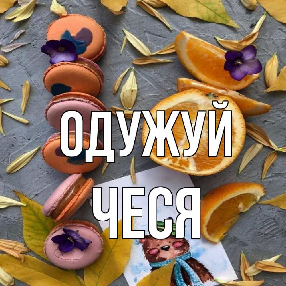 Открытка на каждый день з підписом, Чеся Одужуй не болейте Прикольна листівка з побажанням онлайн скачати безкоштовно 