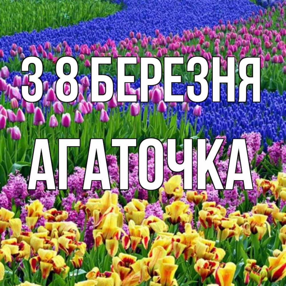 Открытка на каждый день з підписом, Агаточка З 8 БЕРЕЗНЯ цветы Прикольна листівка з побажанням онлайн скачати безкоштовно 
