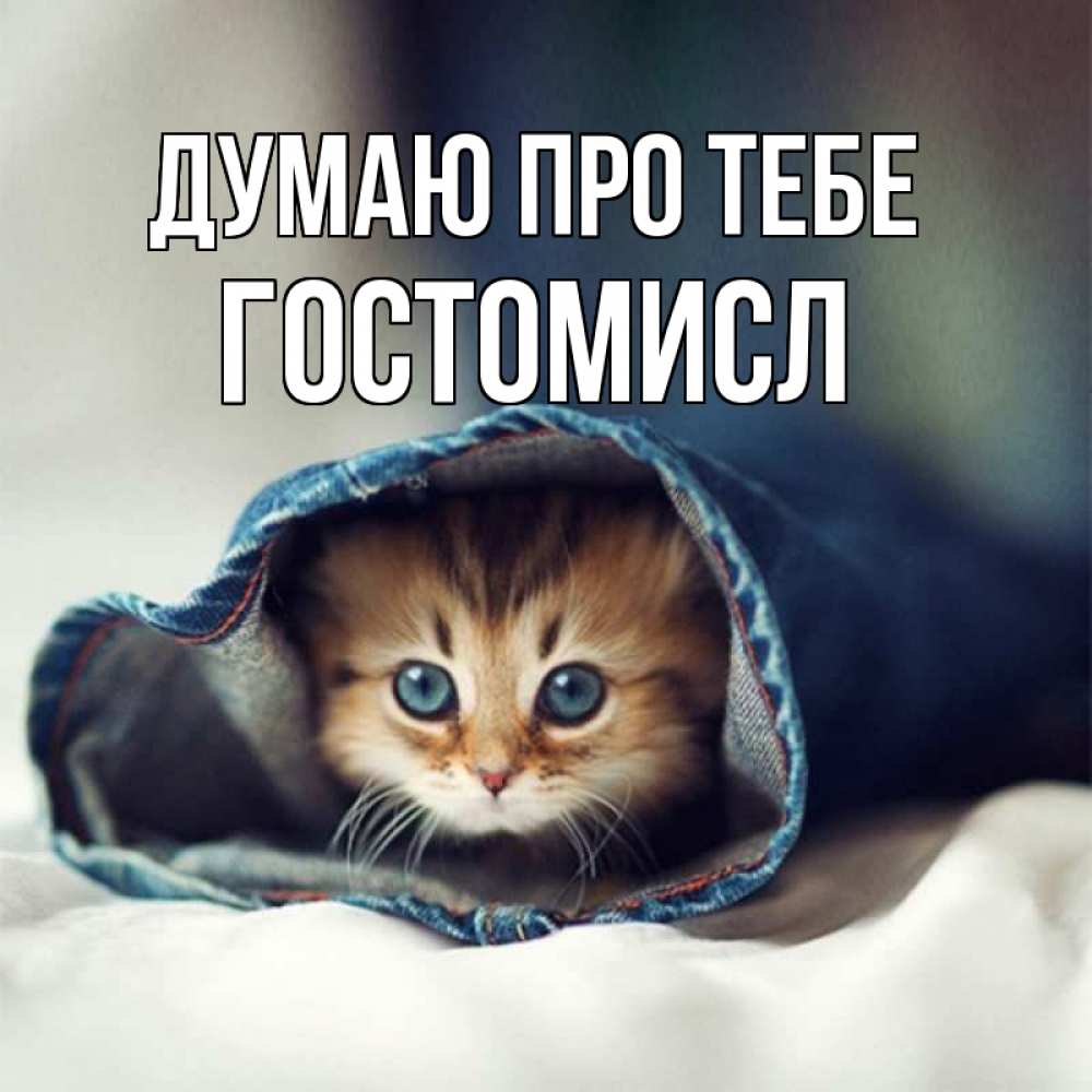 Открытка на каждый день з підписом, Гостомисл Думаю про тебе мне без тебя плохо Прикольна листівка з побажанням онлайн скачати безкоштовно 