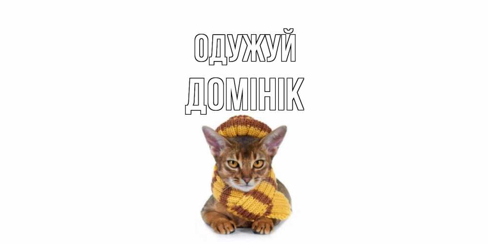 Открытка на каждый день з підписом, Домінік Одужуй родные не болейте Прикольна листівка з побажанням онлайн скачати безкоштовно 