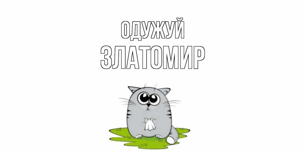 Открытка на каждый день з підписом, Златомир Одужуй кот и открытки про выздоровление Прикольна листівка з побажанням онлайн скачати безкоштовно 