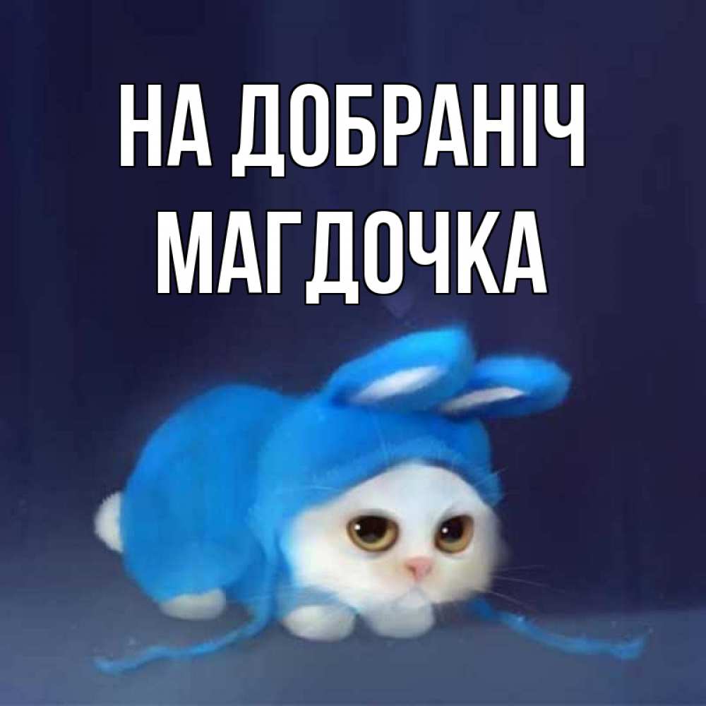 Открытка на каждый день з підписом, Магдочка На добраніч кот в голубом костюме кролика с ушками Прикольна листівка з побажанням онлайн скачати безкоштовно 