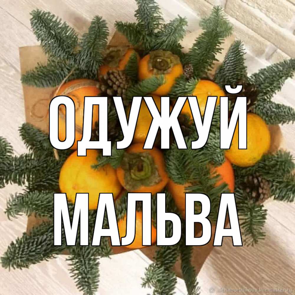 Открытка на каждый день з підписом, Мальва Одужуй апельсины и хурьма Прикольна листівка з побажанням онлайн скачати безкоштовно 
