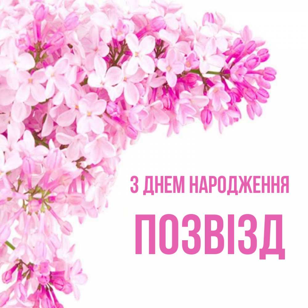 Открытка на каждый день з підписом, Позвізд З Днем народження Сирень на белом фоне Прикольна листівка з побажанням онлайн скачати безкоштовно 