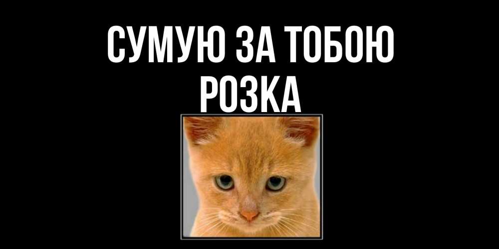 Открытка на каждый день з підписом, Розка Сумую за тобою открытки рыжий котенок скучает по тебе Прикольна листівка з побажанням онлайн скачати безкоштовно 