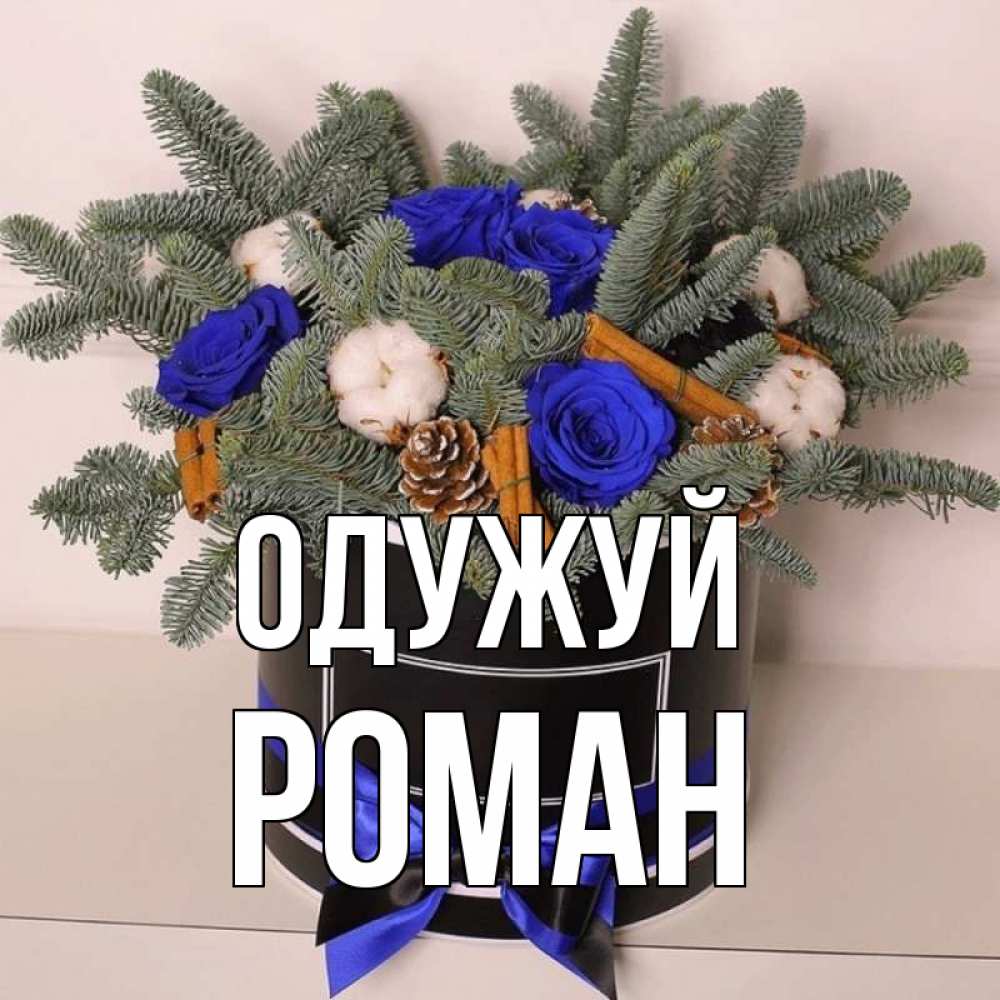 Открытка на каждый день з підписом, Роман Одужуй короче кто то загрузил эти шишки Прикольна листівка з побажанням онлайн скачати безкоштовно 