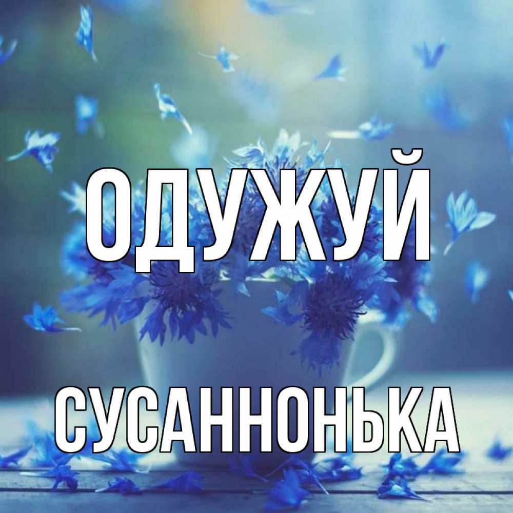 Открытка на каждый день з підписом, Сусаннонька Одужуй кружка с зельем и цветами Прикольна листівка з побажанням онлайн скачати безкоштовно 