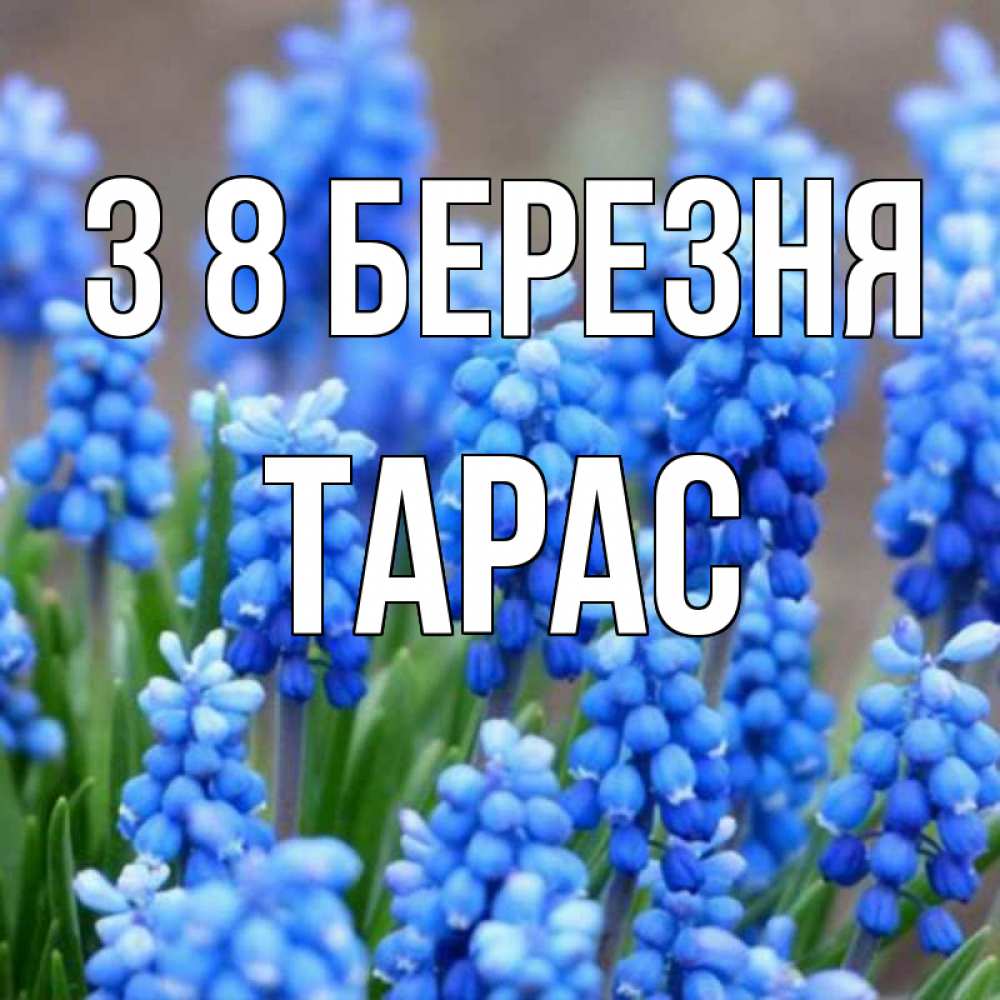 Открытка на каждый день з підписом, Тарас З 8 БЕРЕЗНЯ Поздравительная открытка для женщин с цветами на праздничную дату Прикольна листівка з побажанням онлайн скачати безкоштовно 