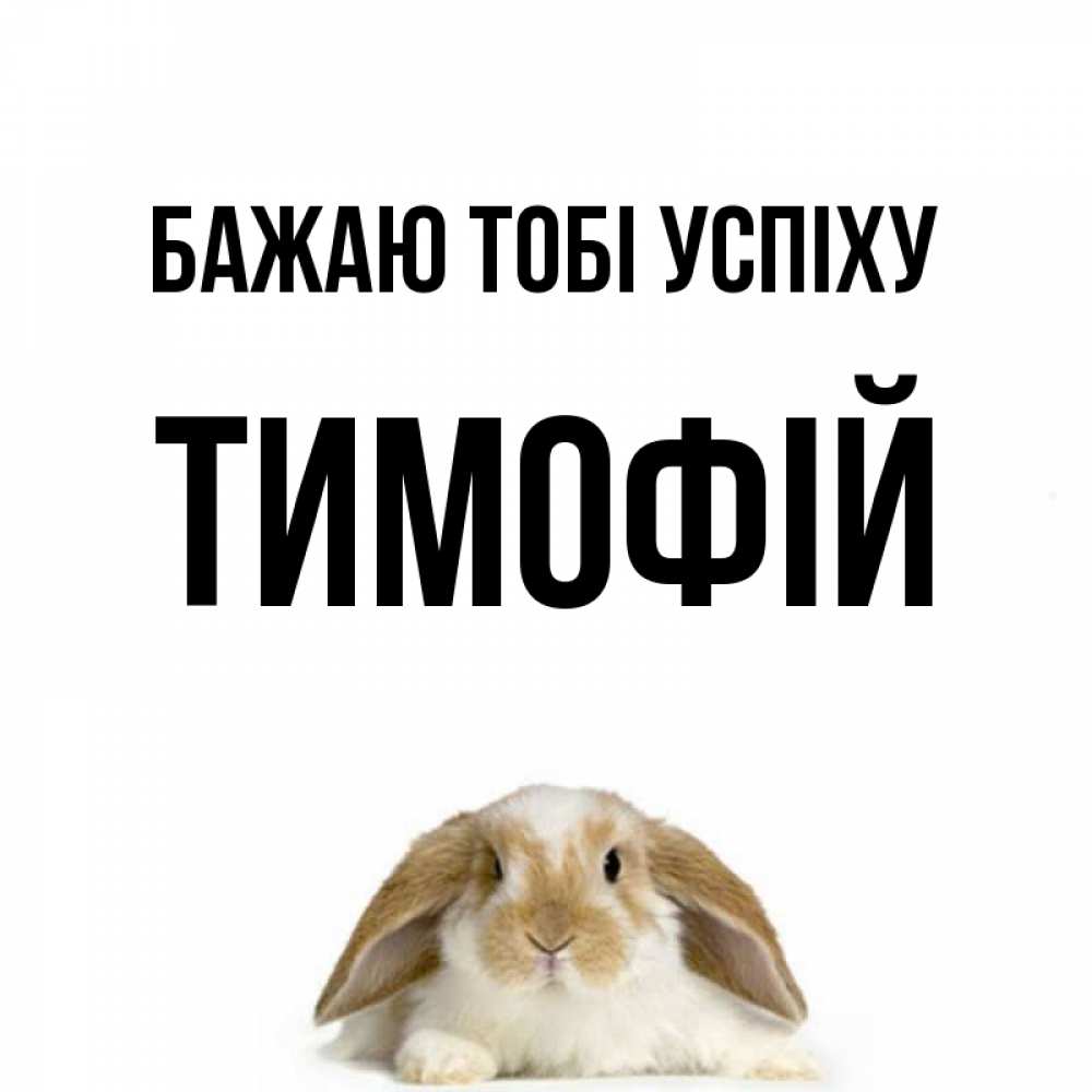 Открытка на каждый день з підписом, Тимофій Бажаю тобі успіху открытки с произвольным текстом который можно вставить в открытку и создать ее самостоятельно бесплатно онлайн Прикольна листівка з побажанням онлайн скачати безкоштовно 