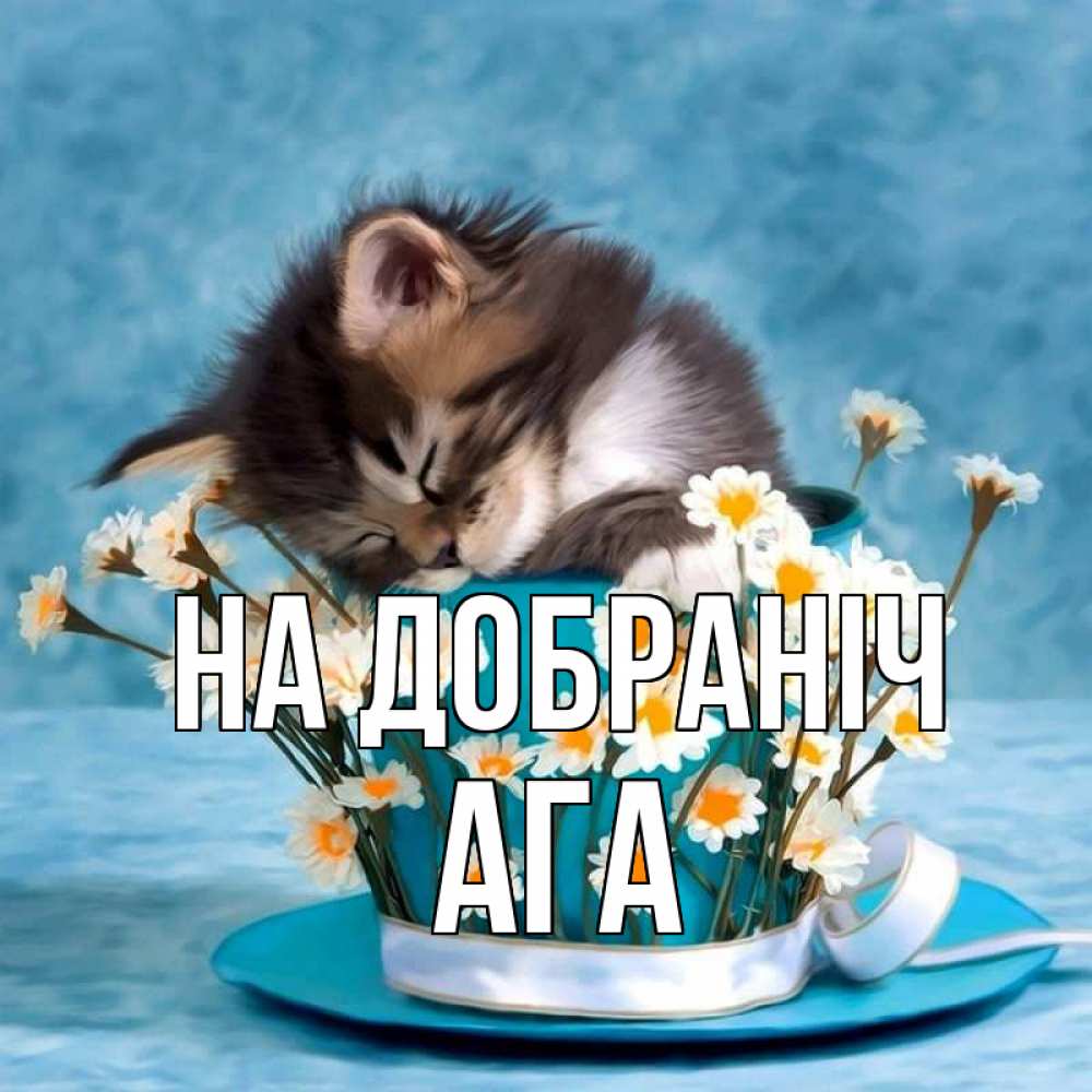 Открытка на каждый день з підписом, Ага На добраніч котенок спит в кружке с блюдцем Прикольна листівка з побажанням онлайн скачати безкоштовно 