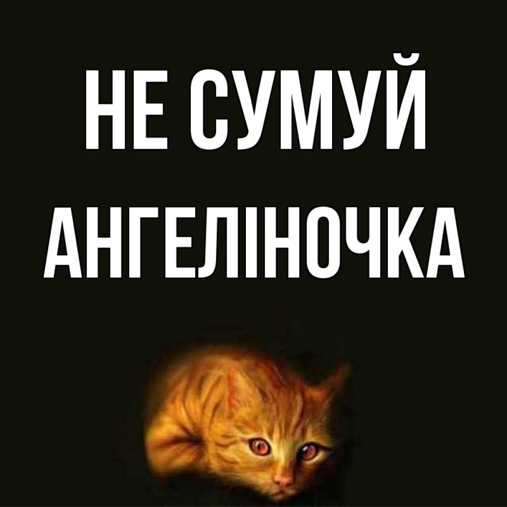 Открытка на каждый день з підписом, Ангеліночка Не сумуй лежащий кот в темноте Прикольна листівка з побажанням онлайн скачати безкоштовно 