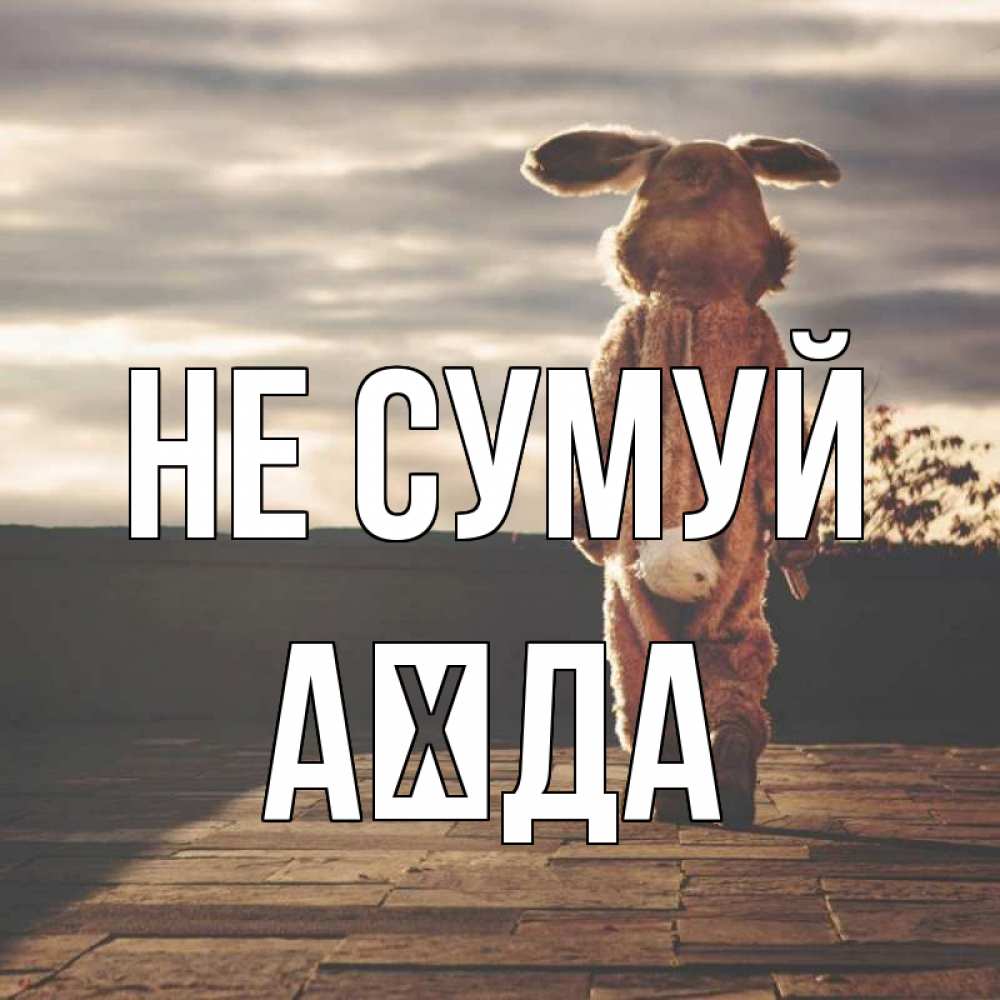 Открытка на каждый день з підписом, Аїда Не сумуй со спины Прикольна листівка з побажанням онлайн скачати безкоштовно 