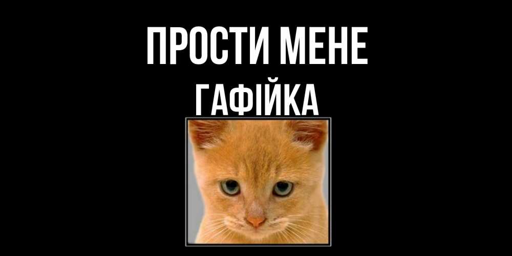 Открытка на каждый день з підписом, Гафійка Прости мене рыжий грустный кот просит прощения Прикольна листівка з побажанням онлайн скачати безкоштовно 