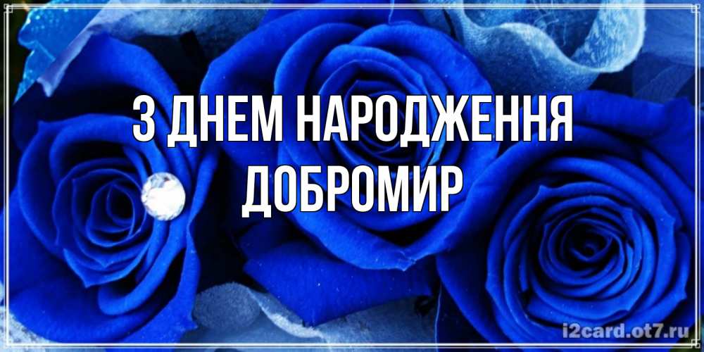 Открытка на каждый день з підписом, Добромир З Днем народження синие розы в росе Прикольна листівка з побажанням онлайн скачати безкоштовно 