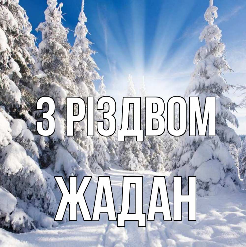 Открытка на каждый день з підписом, Жадан З Різдвом зима, лес Прикольна листівка з побажанням онлайн скачати безкоштовно 