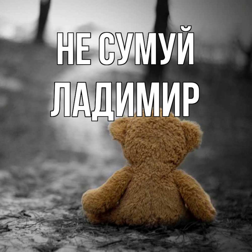 Открытка на каждый день з підписом, Ладимир Не сумуй медведь со спин Прикольна листівка з побажанням онлайн скачати безкоштовно 