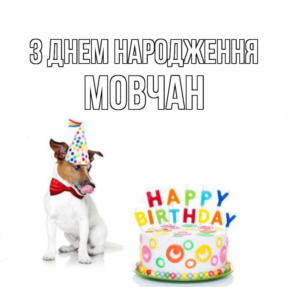 Открытка на каждый день з підписом, Мовчан З Днем народження праздник Прикольна листівка з побажанням онлайн скачати безкоштовно 