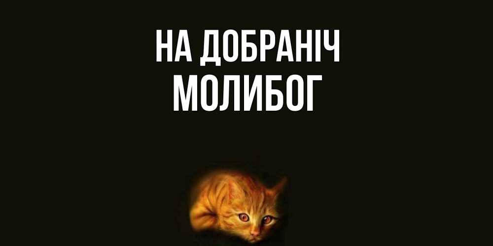 Открытка на каждый день з підписом, Молибог На добраніч кот Прикольна листівка з побажанням онлайн скачати безкоштовно 