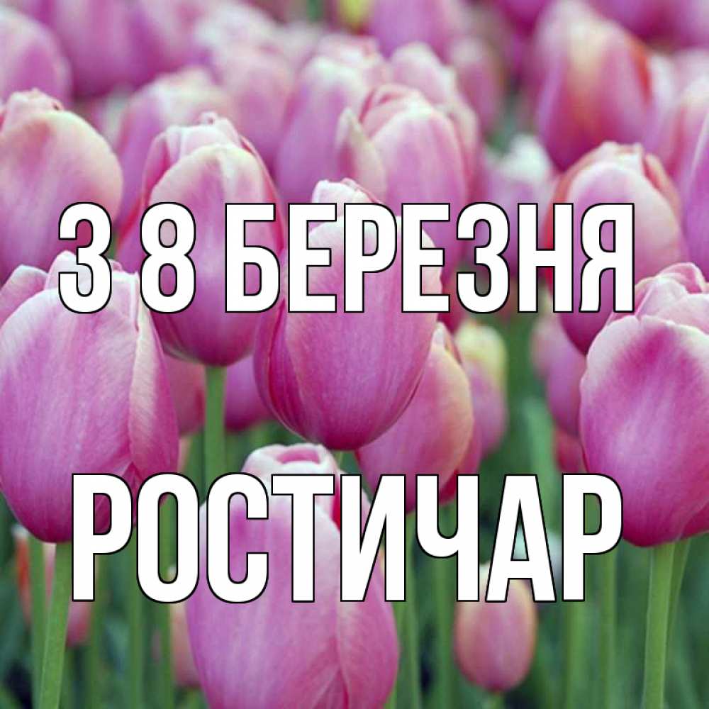 Открытка на каждый день з підписом, Ростичар З 8 БЕРЕЗНЯ на международный женский день 3 Прикольна листівка з побажанням онлайн скачати безкоштовно 