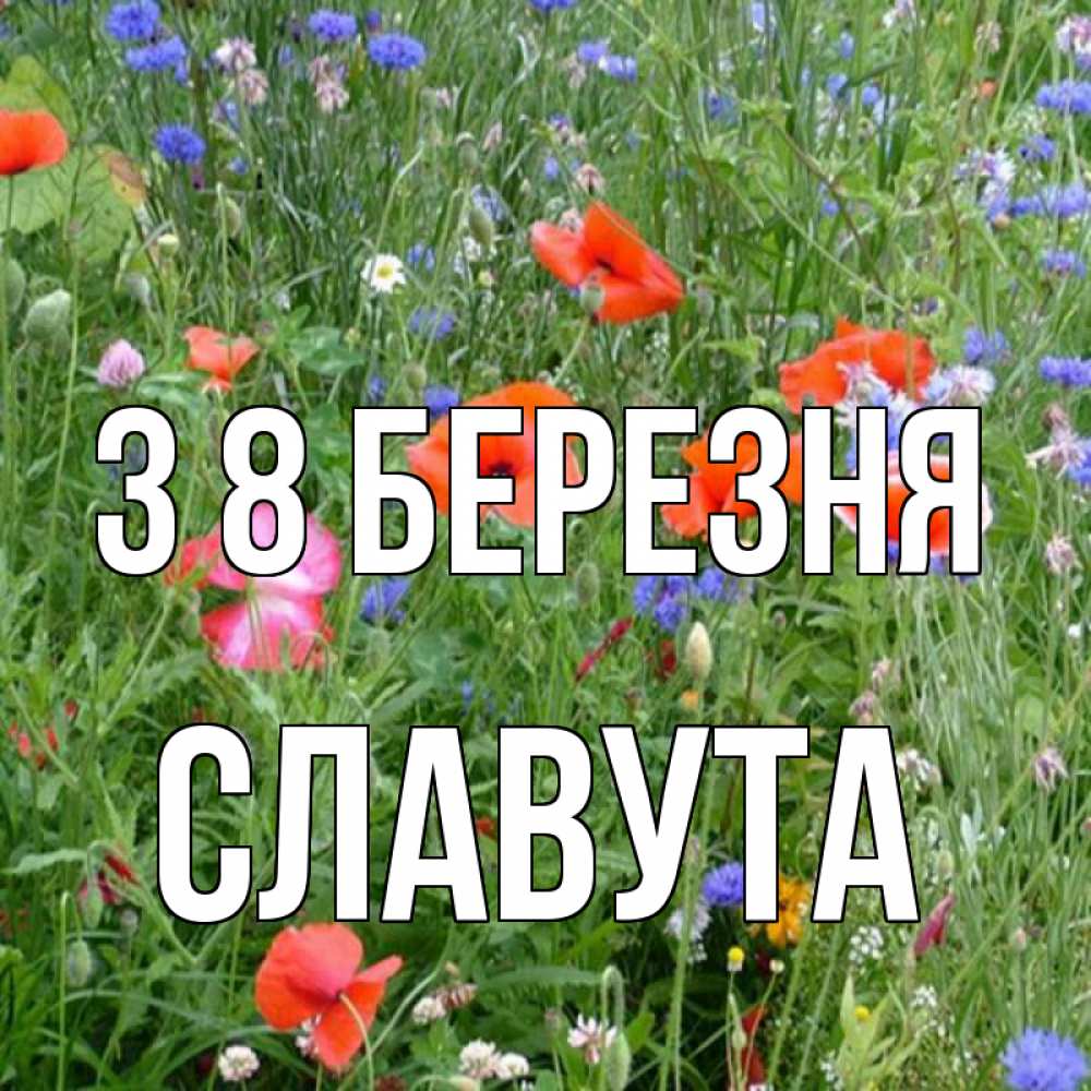 Открытка на каждый день з підписом, Славута З 8 БЕРЕЗНЯ международный женский день 4 Прикольна листівка з побажанням онлайн скачати безкоштовно 