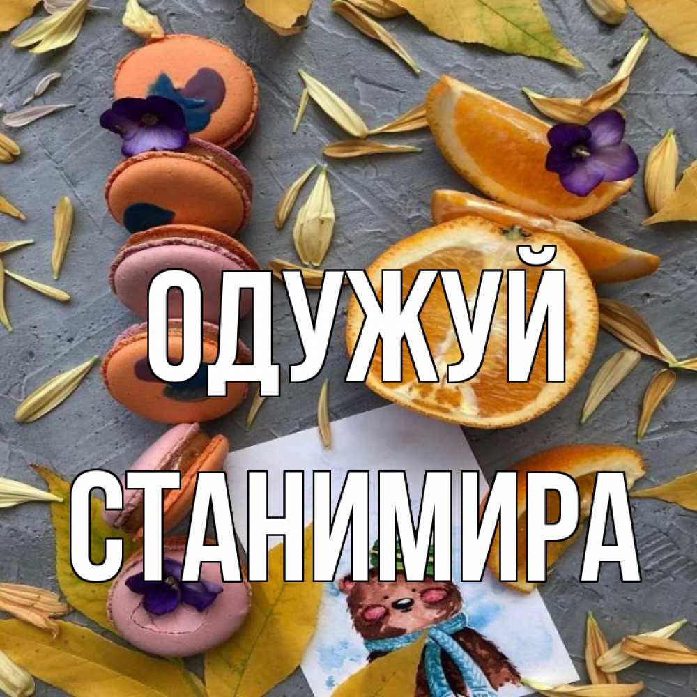 Открытка на каждый день з підписом, Станимира Одужуй не болейте Прикольна листівка з побажанням онлайн скачати безкоштовно 