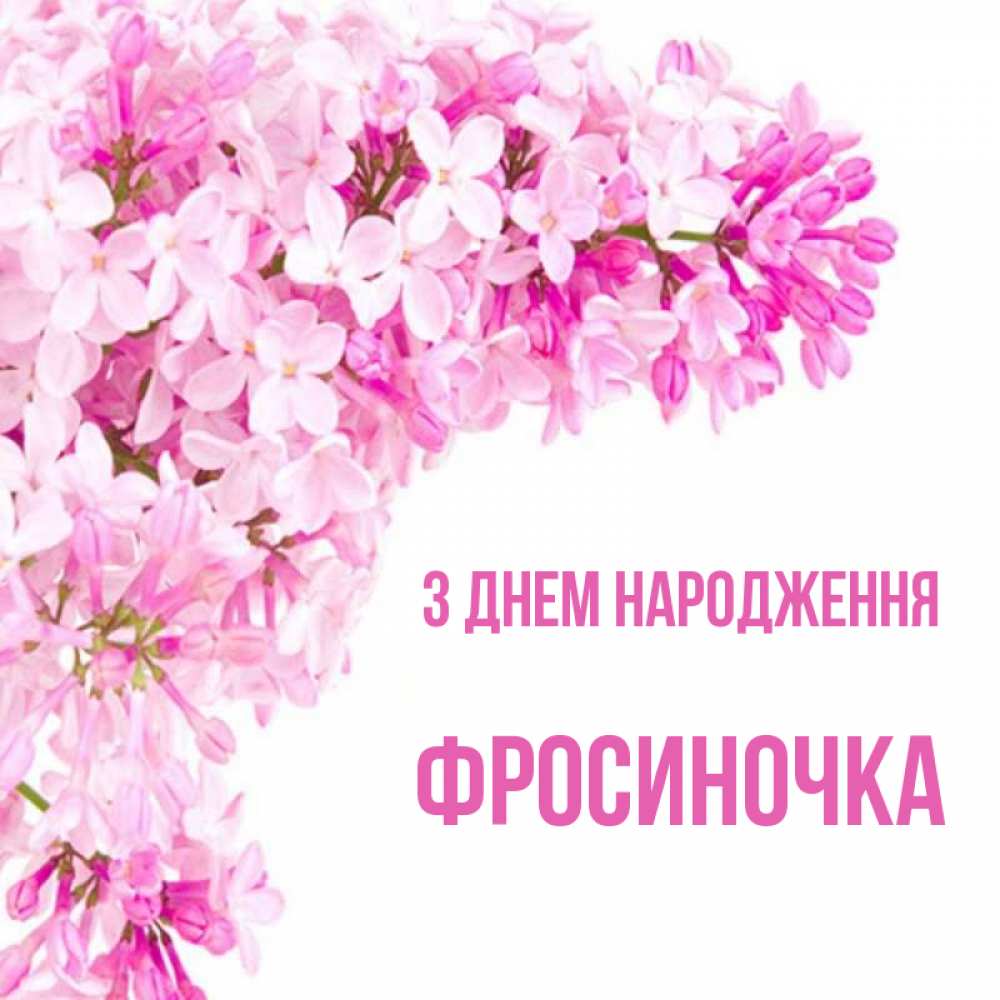 Открытка на каждый день з підписом, Фросиночка З Днем народження Сирень на белом фоне Прикольна листівка з побажанням онлайн скачати безкоштовно 