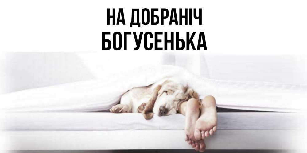 Открытка на каждый день з підписом, Богусенька На добраніч кровать с собакой пожелание сладких снов и спокойной ночи Прикольна листівка з побажанням онлайн скачати безкоштовно 