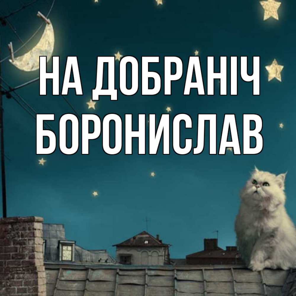 Открытка на каждый день з підписом, Боронислав На добраніч белый кот сидит на крыше Прикольна листівка з побажанням онлайн скачати безкоштовно 
