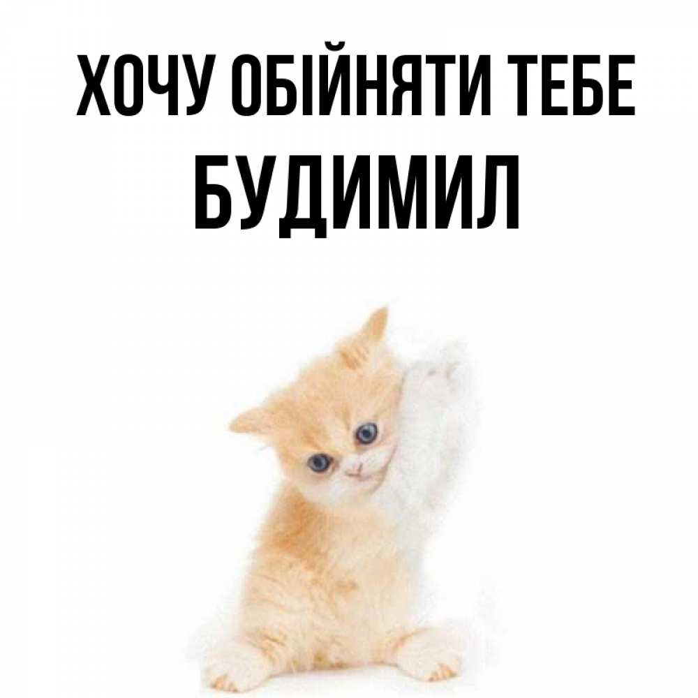 Открытка на каждый день з підписом, Будимил Хочу обійняти тебе я хочу очень скорее обнимаешек Прикольна листівка з побажанням онлайн скачати безкоштовно 