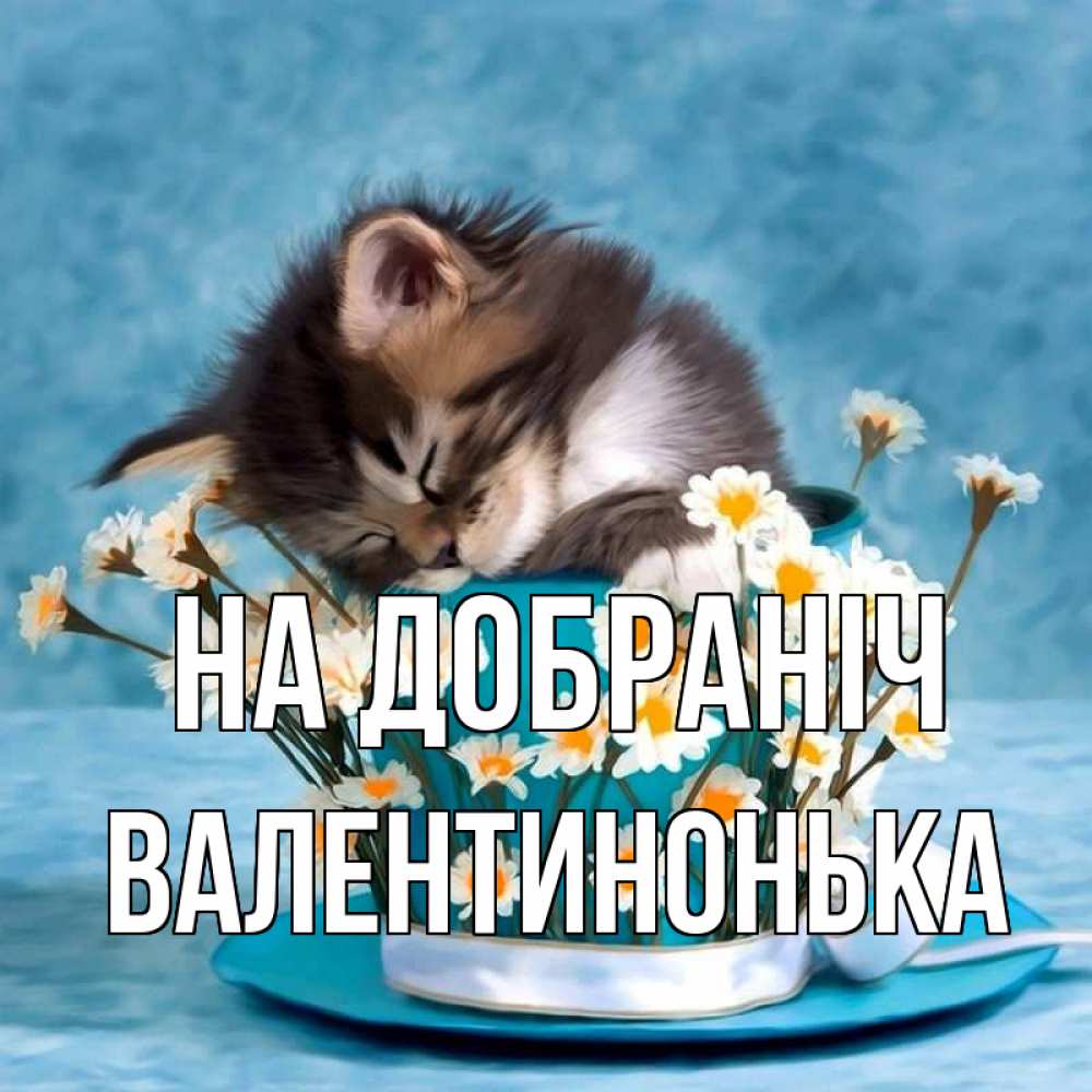 Открытка на каждый день з підписом, Валентинонька На добраніч котенок спит в кружке с блюдцем Прикольна листівка з побажанням онлайн скачати безкоштовно 