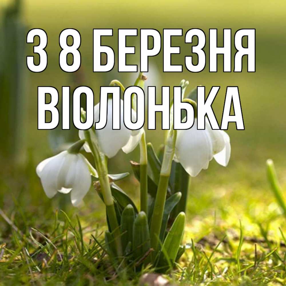 Открытка на каждый день з підписом, Віолонька З 8 БЕРЕЗНЯ ранние цветы 2 Прикольна листівка з побажанням онлайн скачати безкоштовно 