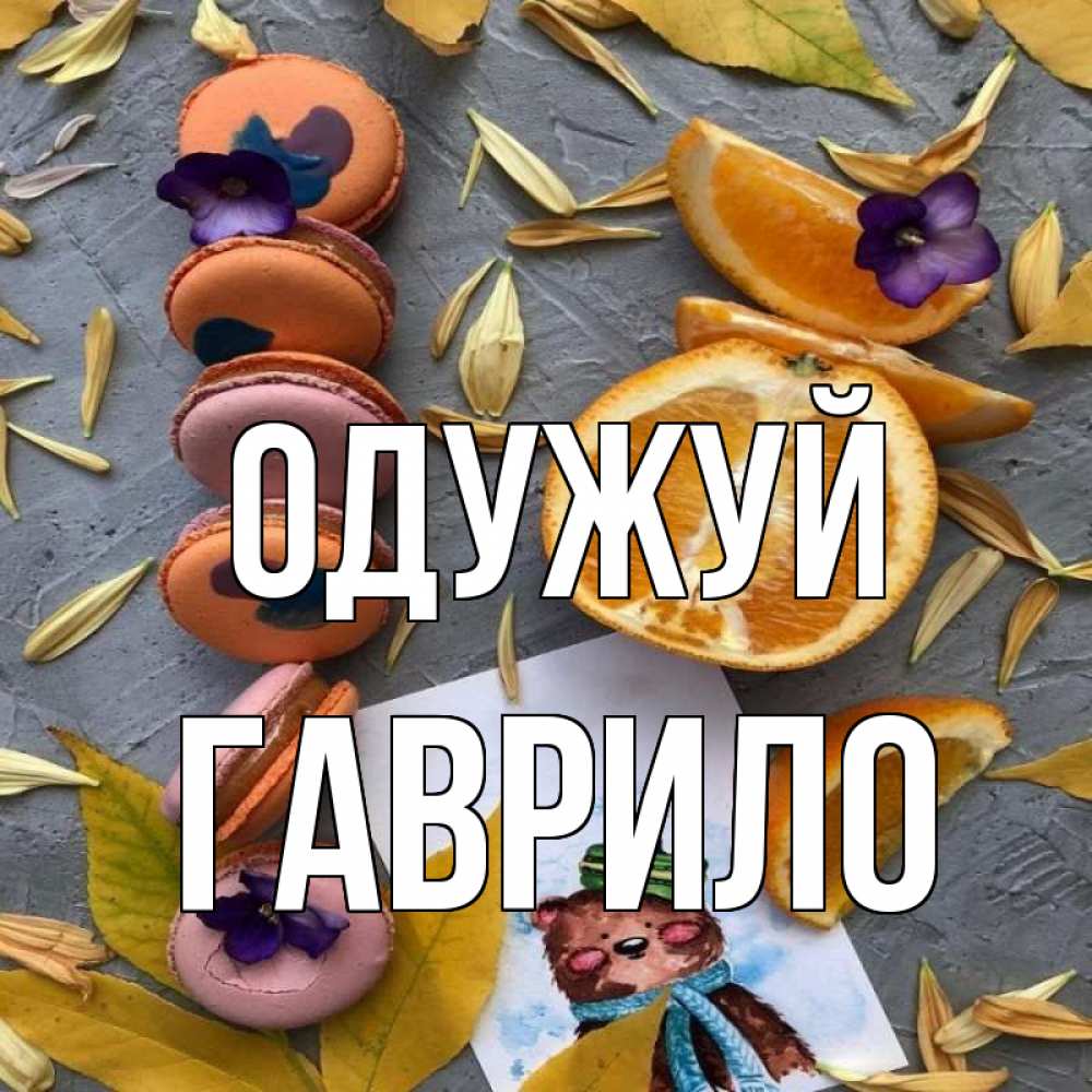 Открытка на каждый день з підписом, Гаврило Одужуй не болейте Прикольна листівка з побажанням онлайн скачати безкоштовно 
