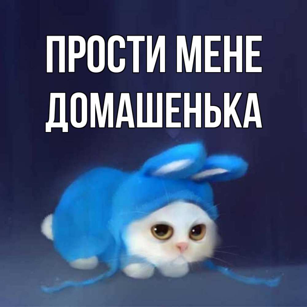 Открытка на каждый день з підписом, Домашенька Прости мене невинный котозай просит прощения Прикольна листівка з побажанням онлайн скачати безкоштовно 