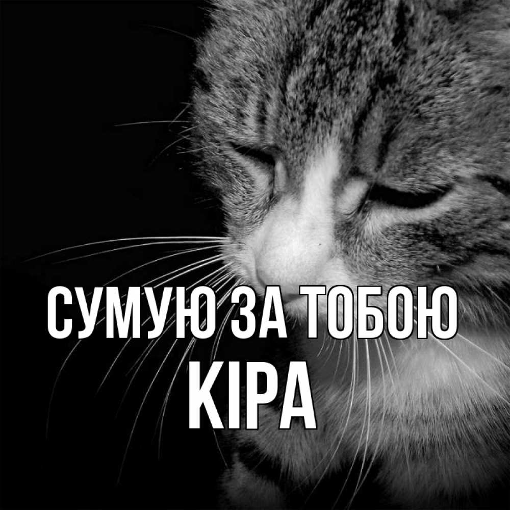 Открытка на каждый день з підписом, Кіра Сумую за тобою мне скучно Прикольна листівка з побажанням онлайн скачати безкоштовно 