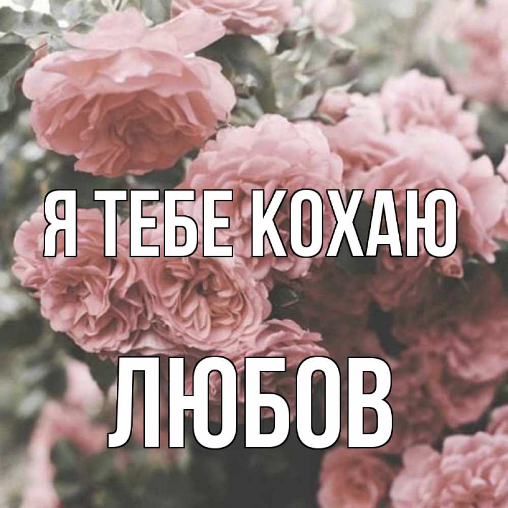 Открытка на каждый день з підписом, Любов Я тебе кохаю розы 3 Прикольна листівка з побажанням онлайн скачати безкоштовно 
